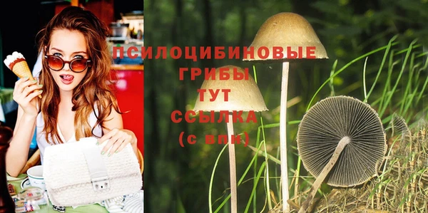 не бодяженный Вяземский