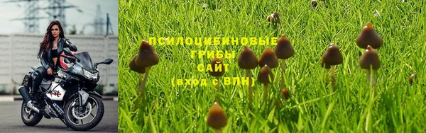 MDMA Горняк