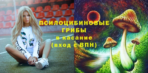 не бодяженный Вяземский