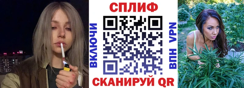 Купить закладки  Новозыбков  Канабис OG Kush 